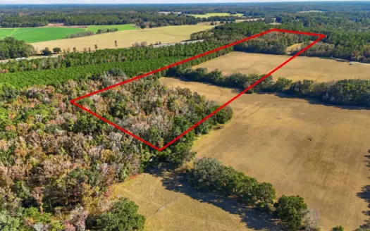 39.91-acres – High Springs, FL – Productive Land – Natural Beauty