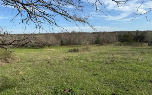 39.93 Acres for Sale in Rattan, Oklahoma