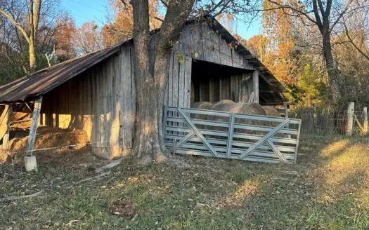 For Sale: 29.2 Acres in Logan-Rogersville School District