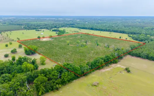 40-Acre North Florida Homestead & Timber Investment For Sale