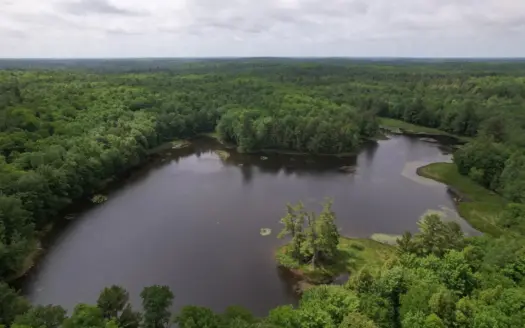 40 Acres Surrounded by 300,000 Acres of Public Land