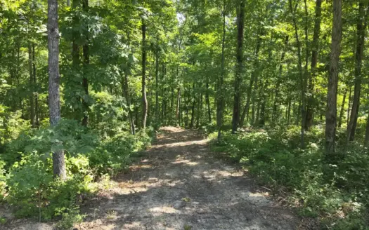 41 Acres Vacant Land For Sale in Tennessee.
