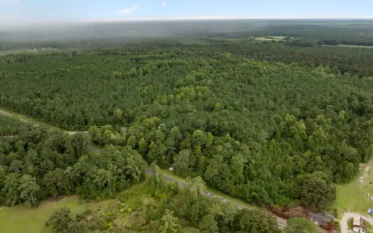 153-Acre Timberland for Sale in Edward, NC