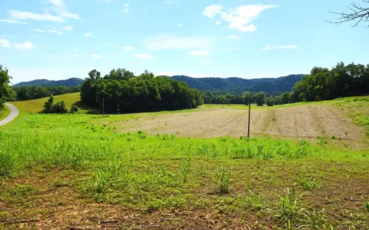 5 Acres, Homesites, Hobby Farm, Cropland or Pastures, Hunting