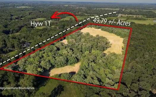 50 +/- Acres in Winnsboro Wood County Texas Beautiful Acreage