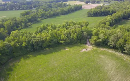 52.16 Acres of Timberland & Cropland for Sale in Chinquapin, NC