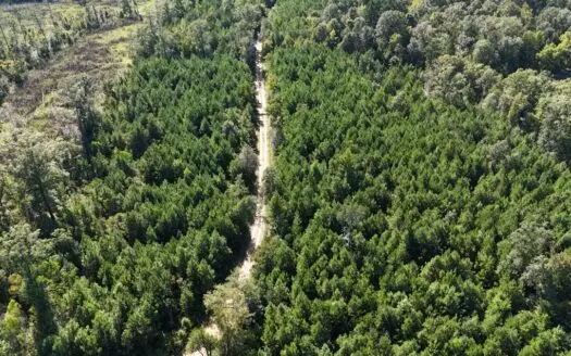 Timberland for Sale Union Parish – Arrant Place