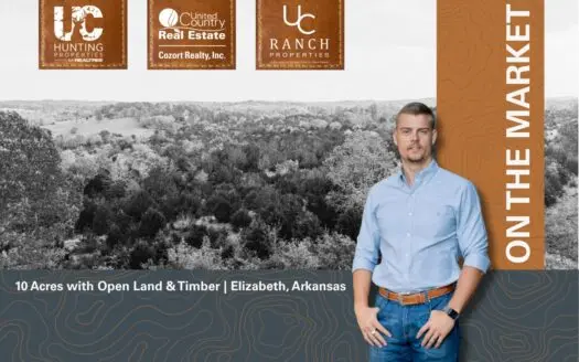 Hunting Land Near Norfork Lake | Arkansas Ozarks