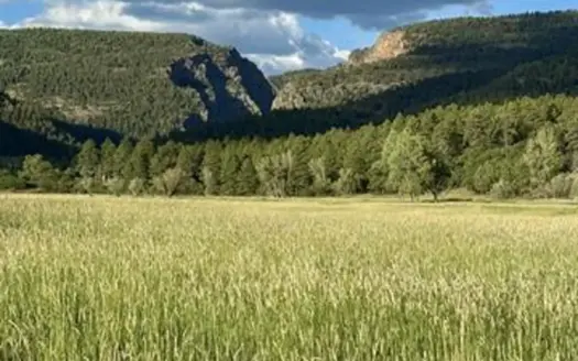 55.47 Acres with Irrigation, Hay Meadow, Mountain Views & Hunting