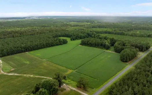 56 Acres Farmland & Timber with Hunting in NC