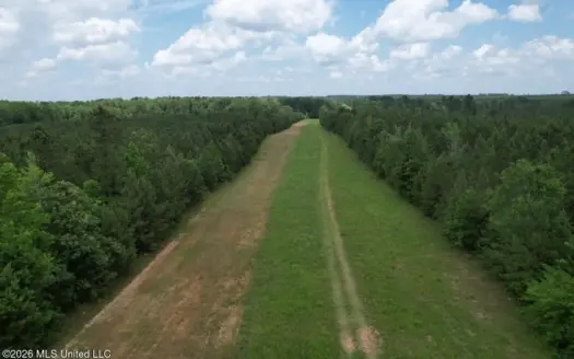 56 Acres in St. Helena Parish with Black Creek