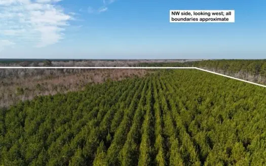 Hunter’s Paradise for Sale in Eastern NC