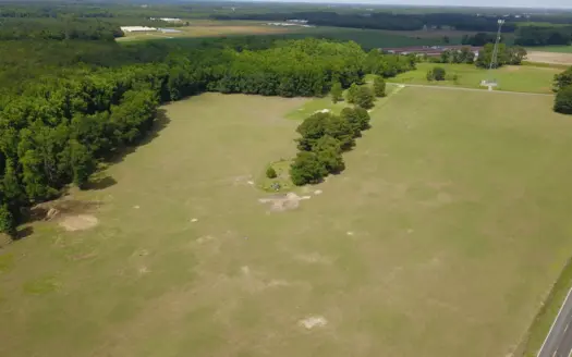 58 Acre Mixture of Pasture Land and Pine Plantation