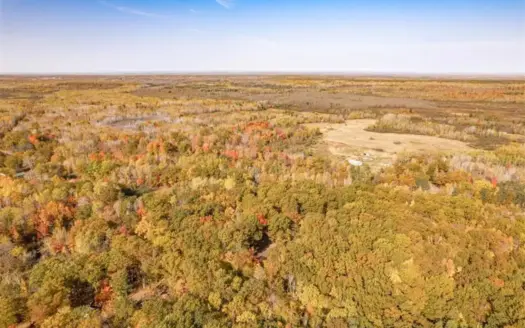 60 Acres of Recreational Land for Sale North of Bruno MN