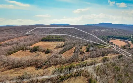 Prime 123.75 Ac. Property!
