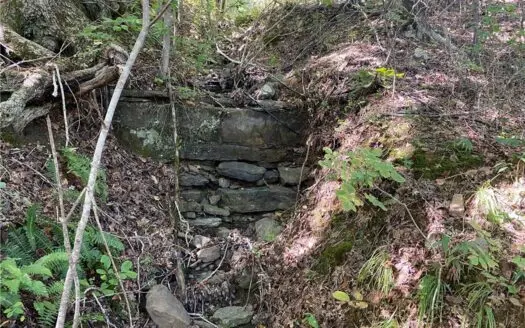 Land For Sale Newton County, Pelsor, Arkansas