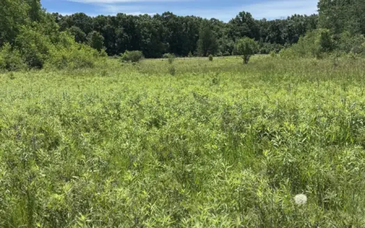 68± acre recreational property near Tomah in Monroe County