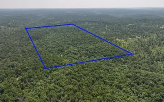 Land For Sale in Texas County Missouri