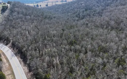 73 Acres in Southern Missouri Ozarks for Hunting or Recreation