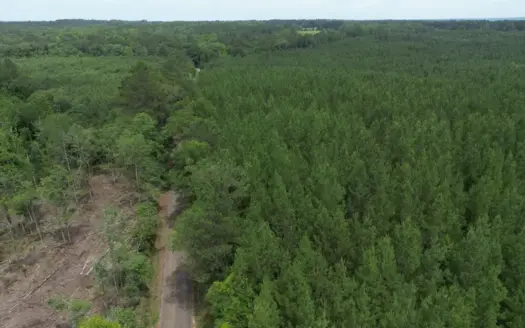 73+- Acres of Plantation Pines Pike County MS