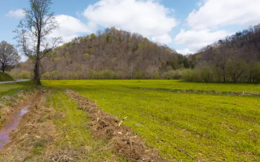 Timeless Tennessee Farm – 66 Acres at Absolute Auction Kyles Ford