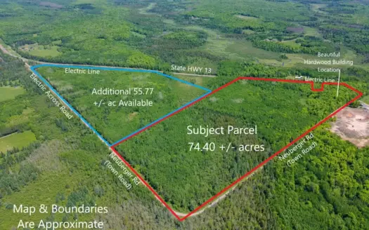 74 ± Acres of Hardwood Timber & Hunting Land in Glidden, WI