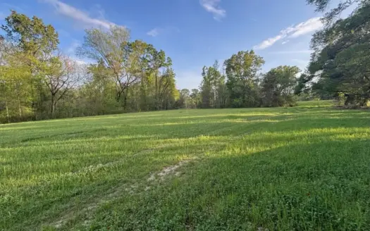 77 Acres in Edwards, MS Hinds County Big Black River Region