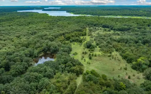 788 ± Acres Yantis Texas – Lake Fork Waterfront – Untouched Land