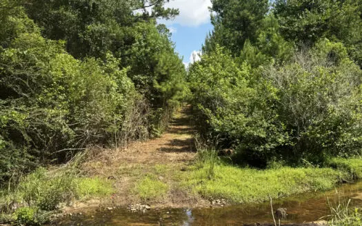 Cotton House Tract: premier 545ac hunting & recreational property