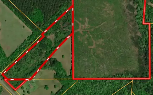 80 Acres in Kirbyville Texas! – Land with timber and creek access