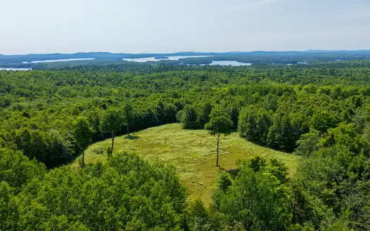 80 Acres of Maine Land Bordering 900 Acres of Public Land