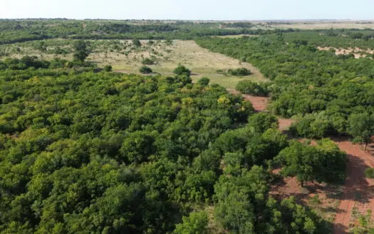 Hunting Ranch for Sale in Clay County Texas near Byers