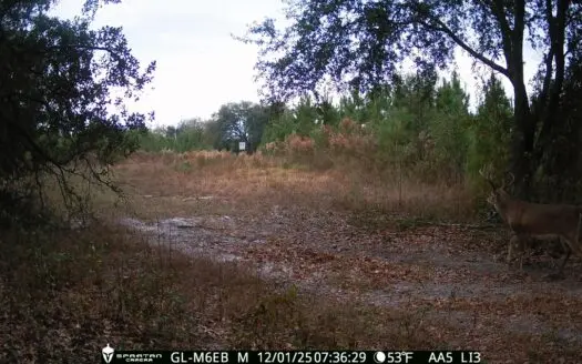 70.97 Acres – Cumbie Rd, Grady/Decatur County Line – Near Vada GA