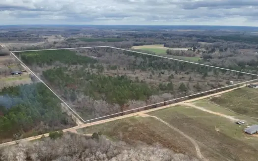 86± Acres with Pond in Slocomb, AL – Unrestricted Land