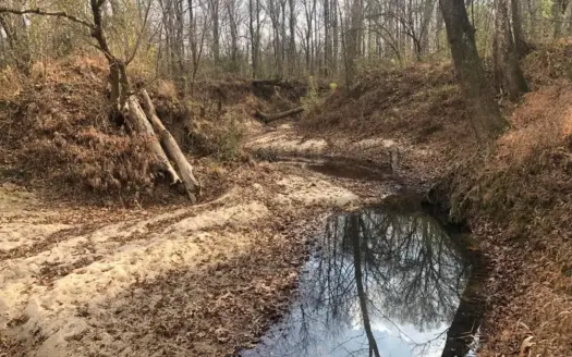 88.5 acres Hunting & Timber Land for Sale in Utica, Ms