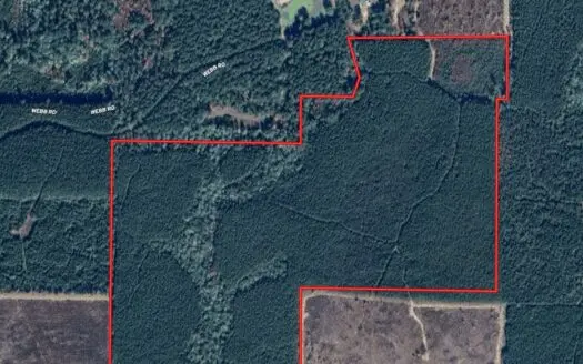 100± Acres of Timber & Hunting Land | Union Parish, LA