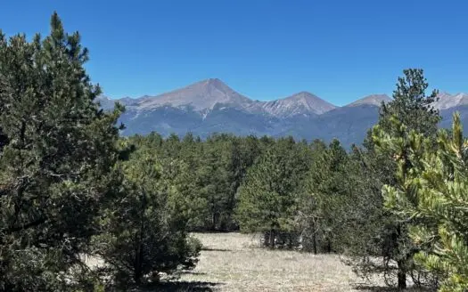5.12-Acre Treed Colorado Mountain Property for Sale Near Westclif