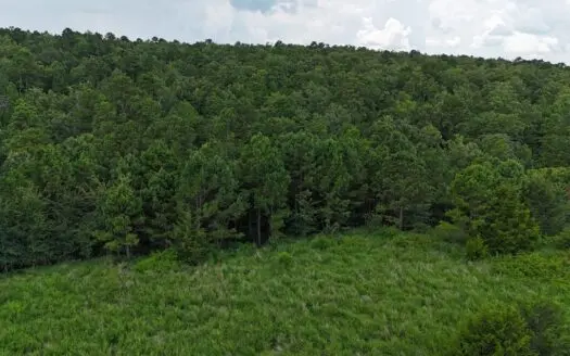 160 Acres Latimer County OK – Mountain Hunting Land
