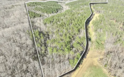 90 +/- Acre Hunting Property in Westpoint Tennessee