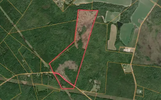 90+/- Acres for Sale in Effingham County, GA
