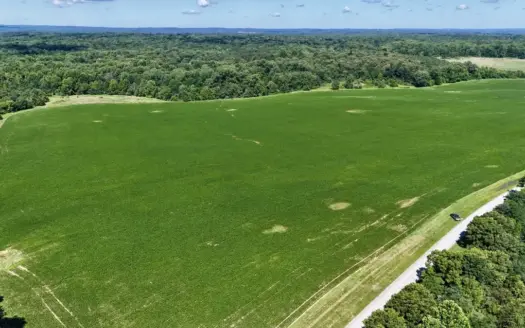 92 Acres for Sale in Crofton, Ky | Tillable Farm, Hunting Propert