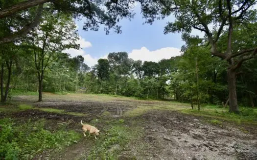 18 Acres for Sale in Warrick County, Indiana | Homesite