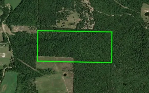 Historic Ozark Homestead & Hunting Land Near Alpena AR
