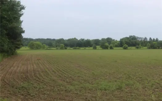 A Clean, Productive 34-acre Tract Located South of Ogilvie