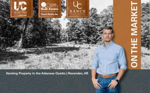 Prime Hunting Property in the Ozarks | Ravenden, Arkansas