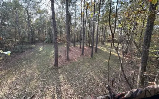 98± Acres in Natchez, MS on Second Creek