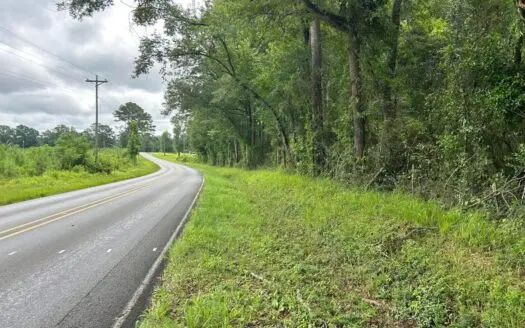 Tuckers Crossing 31 – Land for Sale Jones County, MS