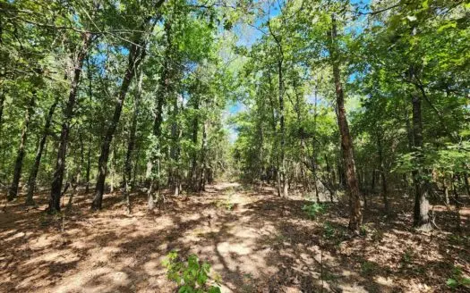Kiamichi Mountain Homestead Property