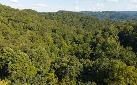 Appalachian Wilderness for Sale Hancock County TN- Hunting Land