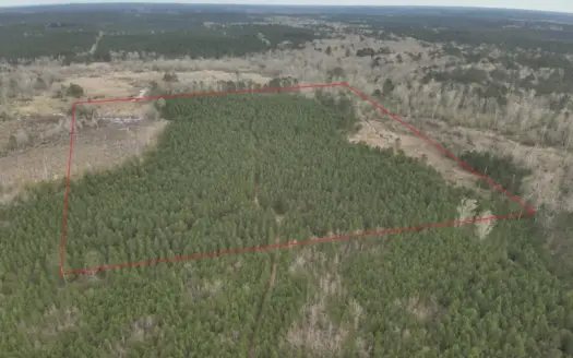 Arkansas Timber W/ Creek Habitat W/ Public Land Frontage For Sale